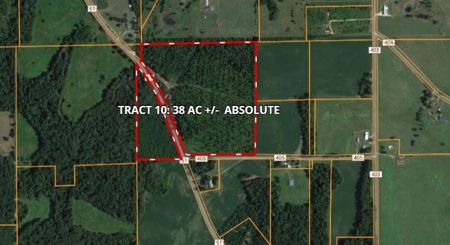 Timberland Auction  403± Acres #10 of 12 Tracts - image 11