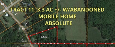 Timberland Auction  378± Acres #11 of 11 Tracts - image 1