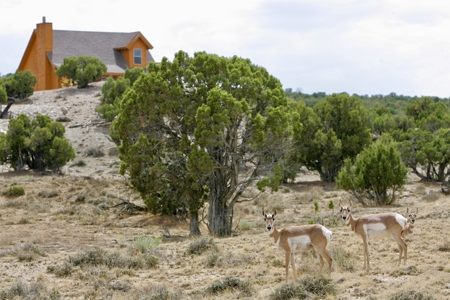 Absolute Auction - Utah Land Rush - image 4