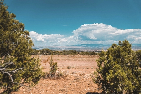Absolute Auction - Utah Land Rush - image 21