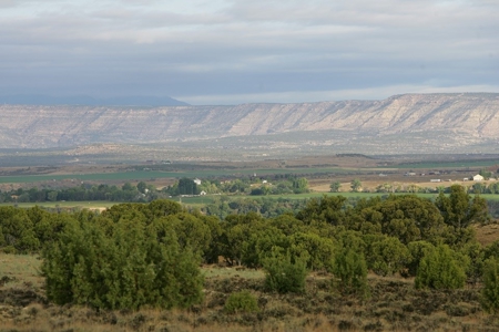 Absolute Auction - Utah Land Rush - image 11