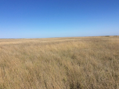 Absolute Land Auction - Cheyenne County Crp - image 2