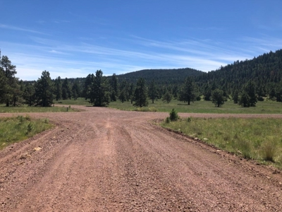 Bulk Sale Auction Of 9 Premium Mountain Cabin Lots Greer, Az - image 17