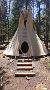 Bulk Sale Auction Of 9 Premium Mountain Cabin Lots Greer, Az - image 13