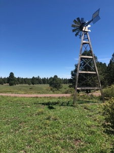 Bulk Sale Auction Of 9 Premium Mountain Cabin Lots Greer, Az - image 16