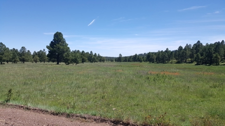 Bulk Sale Auction Of 9 Premium Mountain Cabin Lots Greer, Az - image 14