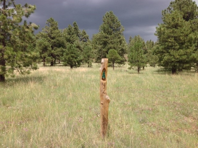 Bulk Sale Auction Of 9 Premium Mountain Cabin Lots Greer, Az - image 10