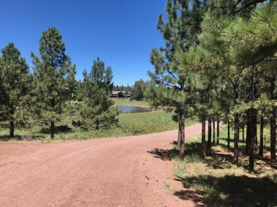 Bulk Sale Auction Of 9 Premium Mountain Cabin Lots Greer, Az - image 21