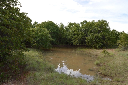 Land Property For Sale Cement Caddo County Oklahoma Auction - image 6