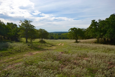 Land Property For Sale Cement Caddo County Oklahoma Auction - image 13