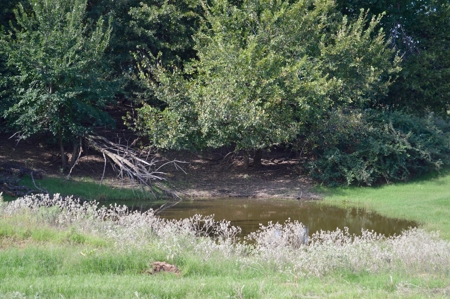 Land Property For Sale Cement Caddo County Oklahoma Auction - image 8