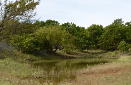 Land Property For Sale Cement Caddo County Oklahoma Auction - image 5