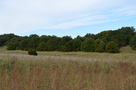 Land Property For Sale Cement Caddo County Oklahoma Auction - image 2