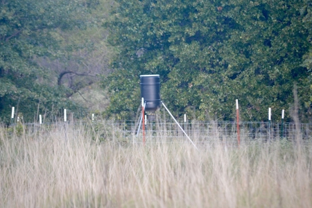 Land Property For Sale Cement Caddo County Oklahoma Auction - image 10