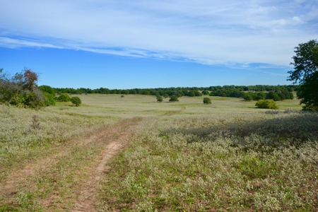 Land Property For Sale Cement Caddo County Oklahoma Auction - image 1
