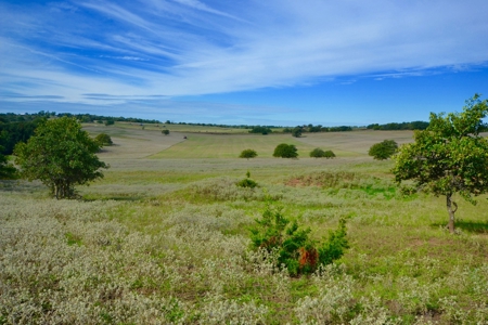Land Property For Sale Cement Caddo County Oklahoma Auction - image 12