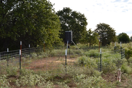 Land Property For Sale Cement Caddo County Oklahoma Auction - image 3