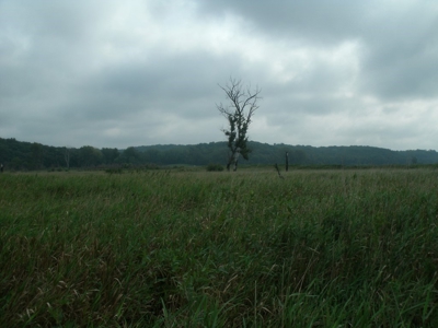 Advanced notice of upcoming Andrew County Land Sale - image 14