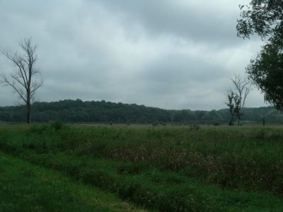Advanced notice of upcoming Andrew County Land Sale - image 11
