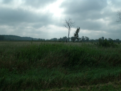 Advanced notice of upcoming Andrew County Land Sale - image 3