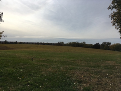 Coming Soon! Ritter Family Farm Land Sale 80+/- Acres w/Home - image 1