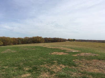 Coming Soon! Ritter Family Farm Land Sale 80+/- Acres w/Home - image 7