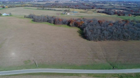 Coming Soon! Ritter Family Farm Land Sale 80+/- Acres w/Home - image 31