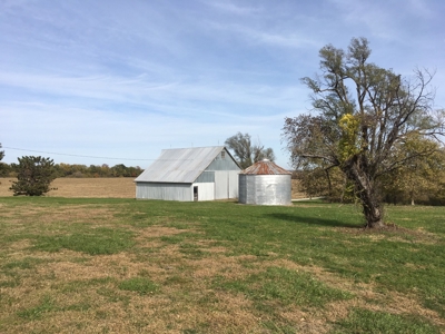 Coming Soon! Ritter Family Farm Land Sale 80+/- Acres w/Home - image 6