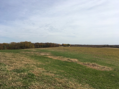 Coming Soon! Ritter Family Farm Land Sale 80+/- Acres w/Home - image 8