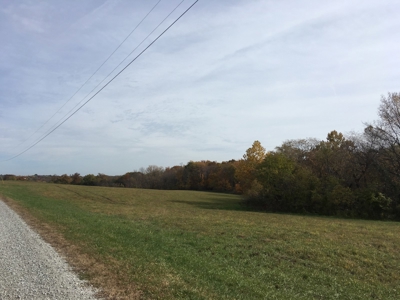 Coming Soon! Ritter Family Farm Land Sale 80+/- Acres w/Home - image 5