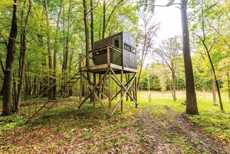Online Only Auction: Trophy Whitetail Hunting Lodge - image 19