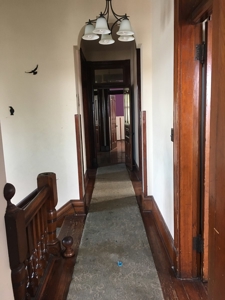 4 Bed Historic Queen Anne Located Near Downtown - image 13