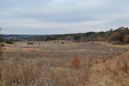 Land Property For Sale Caddo County Oklahoma Gracemont - image 5