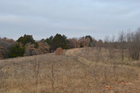 Land Property For Sale Caddo County Oklahoma Gracemont - image 4