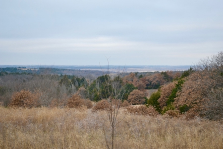 Land Property For Sale Caddo County Oklahoma Gracemont - image 1