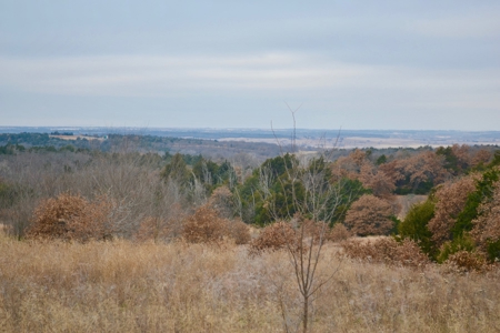 Land Property For Sale Caddo County Oklahoma Gracemont - image 2
