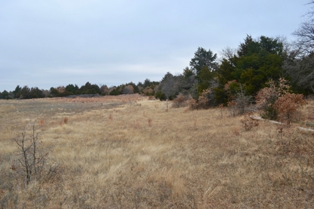 Land Property For Sale Caddo County Oklahoma Gracemont - image 11