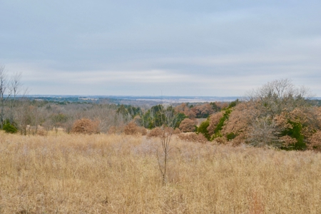 Land Property For Sale Caddo County Oklahoma Gracemont - image 3