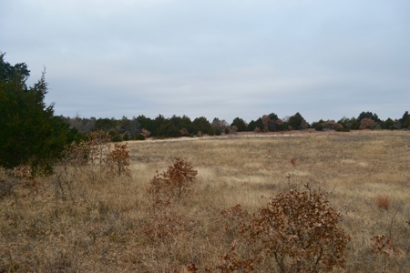 Land Property For Sale Caddo County Oklahoma Gracemont - image 13