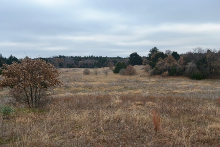 Land Property For Sale Caddo County Oklahoma Gracemont - image 8