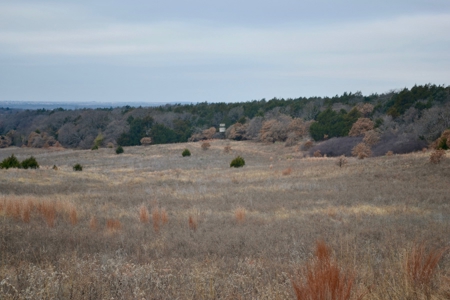 Land Property For Sale Caddo County Oklahoma Gracemont - image 6