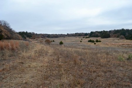 Land Property For Sale Caddo County Oklahoma Gracemont - image 9