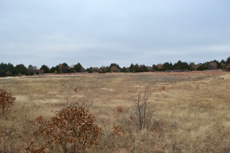 Land Property For Sale Caddo County Oklahoma Gracemont - image 12
