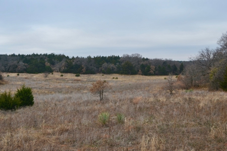 Land Property For Sale Caddo County Oklahoma Gracemont - image 7