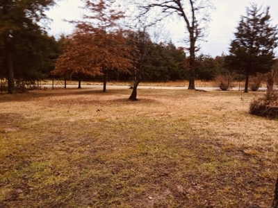 18.8 Acres M/L For Sale in Wentworth, MO. - image 3