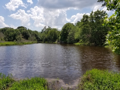 Land for sale Gilmer TX Upshur County +/-22 Acres - image 3