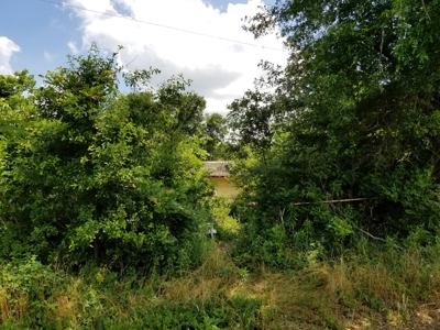 Land for sale Gilmer TX Upshur County +/-22 Acres - image 2