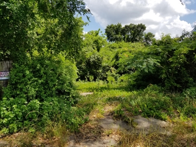 Land for sale Gilmer TX Upshur County +/-22 Acres - image 1