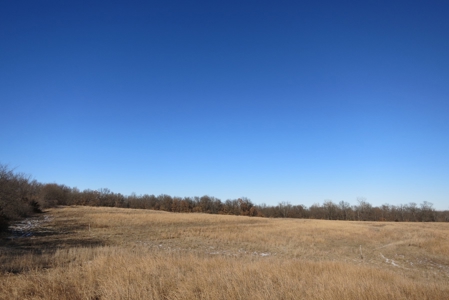 Gentry County Land Auction – March 2, 2019 - image 9