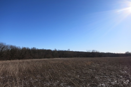 Gentry County Land Auction – March 2, 2019 - image 3